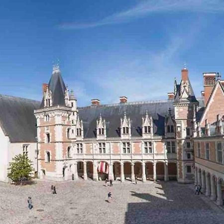 Petite Maison Avec Clim Blois Kültér fotó