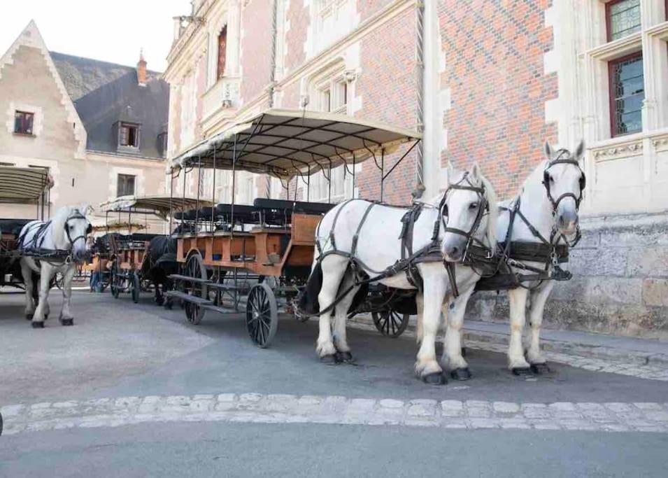 Petite Maison Avec Clim Blois Kültér fotó
