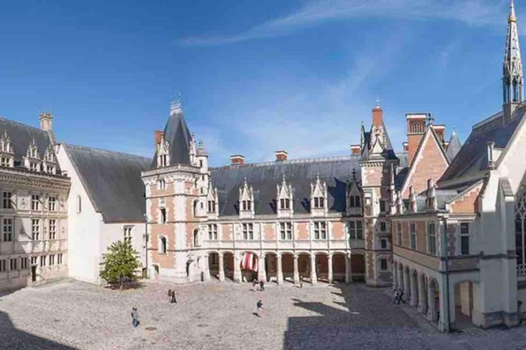 Petite Maison Avec Clim Blois Kültér fotó